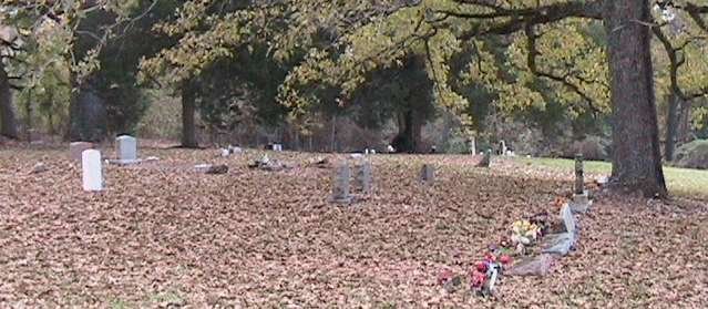 Cemetery view