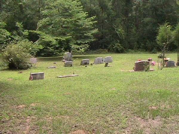 Cemetery view